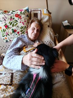 canesterapie 05 2026