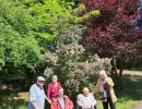 arboretum 06 2026